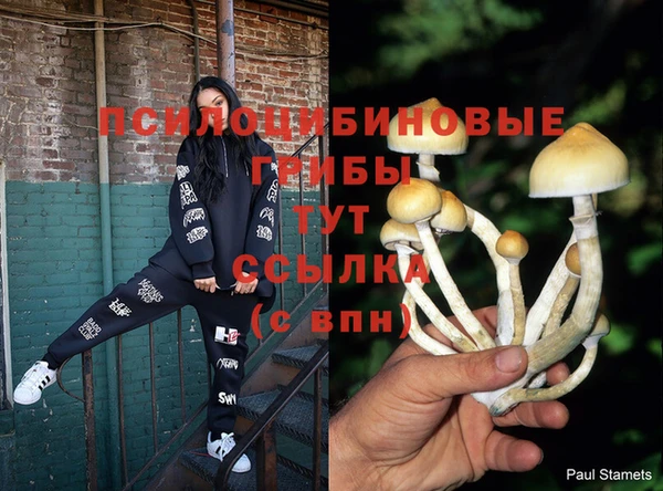 PSILOCYBIN Верхнеуральск