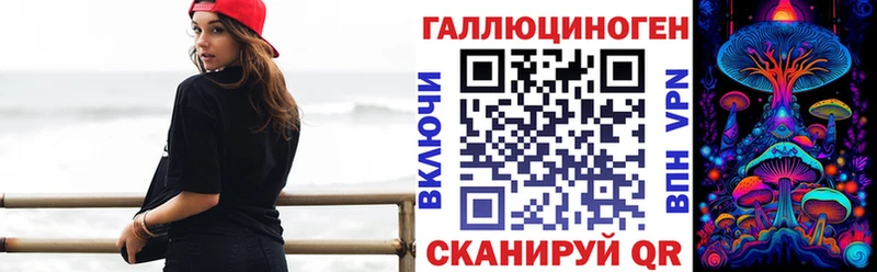 Галлюциногенные грибы Psilocybe  где найти   Находка 